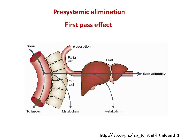 Presystemic elimination First pass effect http: //icp. org. nz/icp_t 6. html? html. Cond=1 