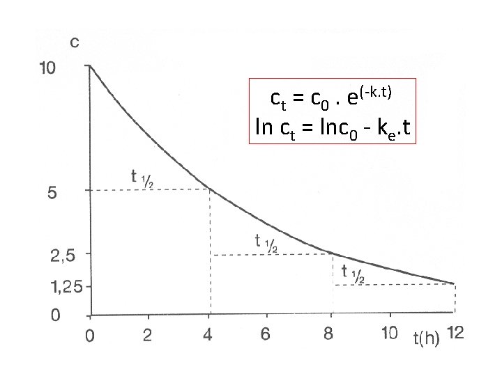 ct = c 0. e(-k. t) ln ct = lnc 0 - ke. t