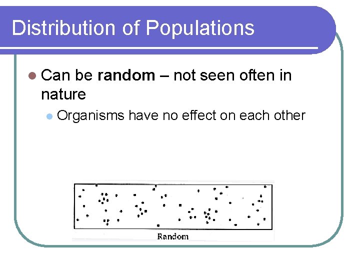 Distribution of Populations l Can be random – not seen often in nature l