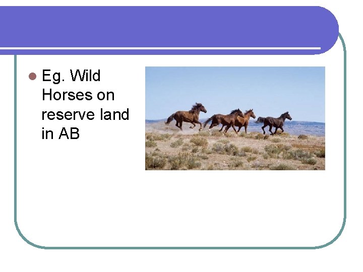 l Eg. Wild Horses on reserve land in AB 