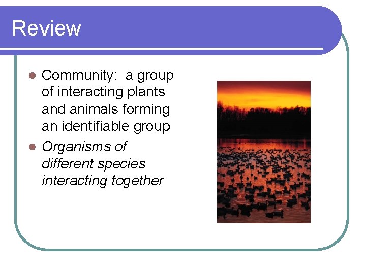 Review Community: a group of interacting plants and animals forming an identifiable group l