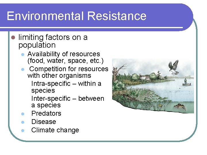 Environmental Resistance l limiting factors on a population l l l Availability of resources