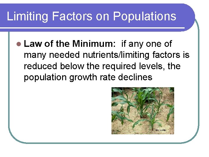 Limiting Factors on Populations l Law of the Minimum: if any one of many