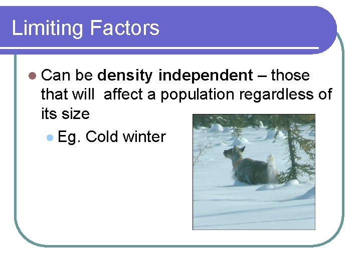 Limiting Factors l Can be density independent – those that will affect a population