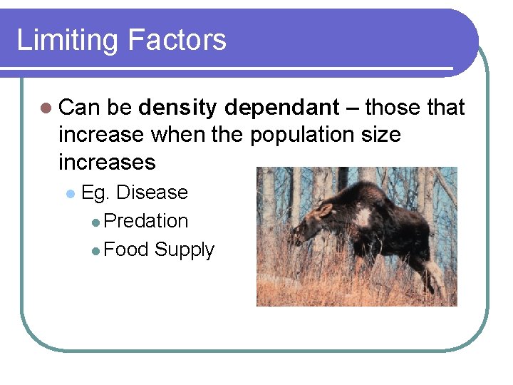Limiting Factors l Can be density dependant – those that increase when the population