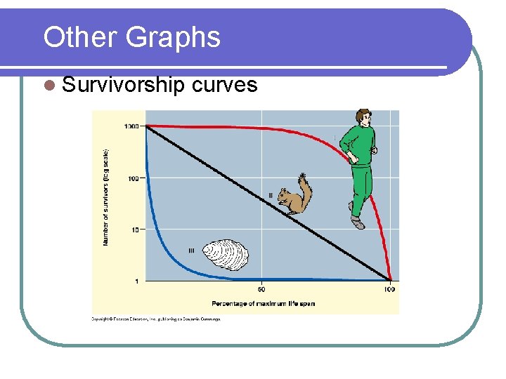 Other Graphs l Survivorship curves 