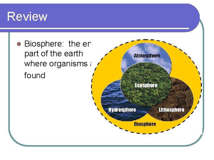 Review l Biosphere: the entire part of the earth where organisms are found 