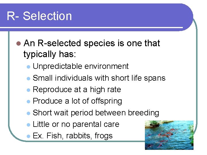 R- Selection l An R-selected species is one that typically has: Unpredictable environment l