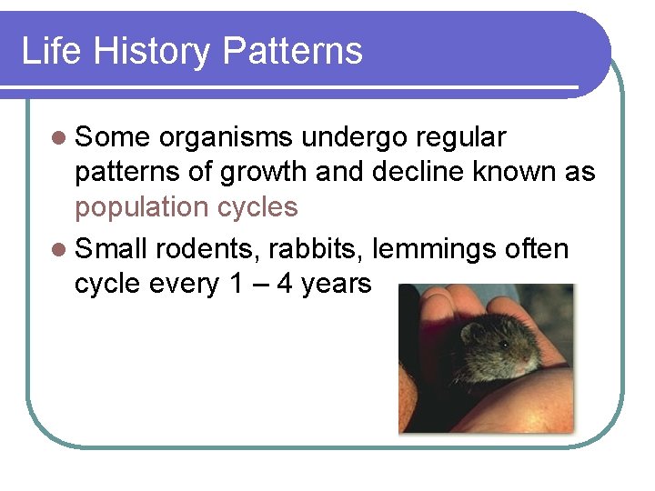 Life History Patterns l Some organisms undergo regular patterns of growth and decline known