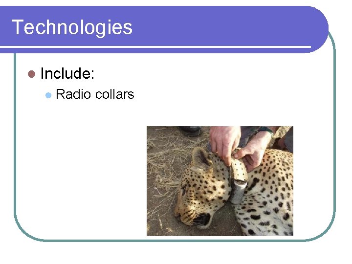 Technologies l Include: l Radio collars 