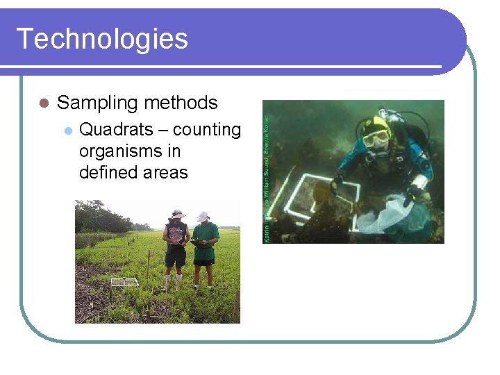 Technologies l Sampling methods l Quadrats – counting organisms in defined areas 