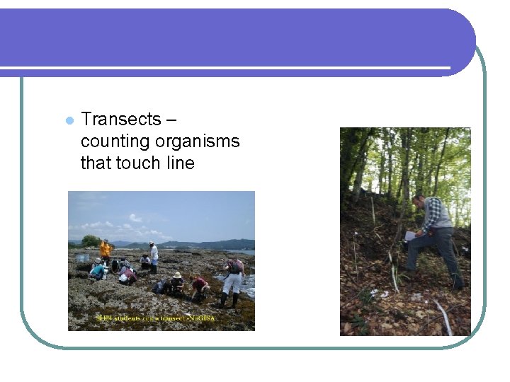 l Transects – counting organisms that touch line 