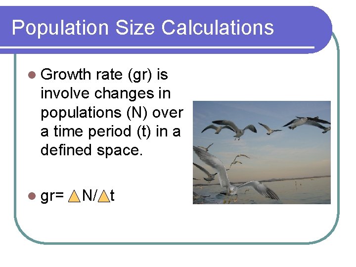 Population Size Calculations l Growth rate (gr) is involve changes in populations (N) over