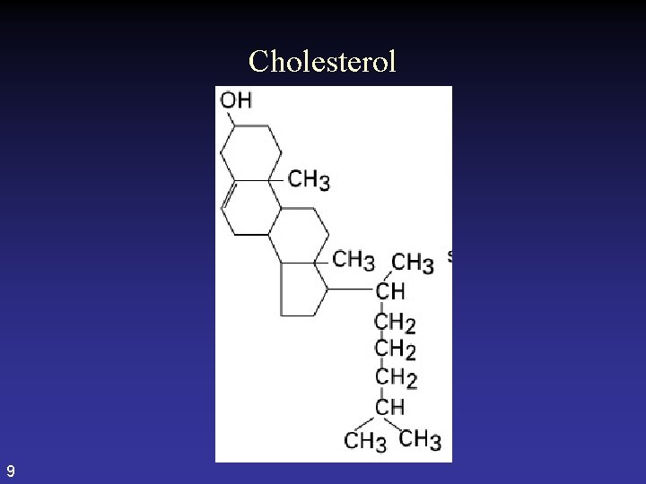 Cholesterol 9  Cholesterol 9