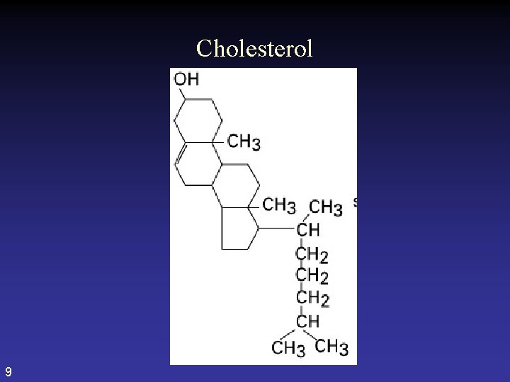 Cholesterol 9 