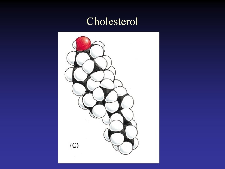 Cholesterol 