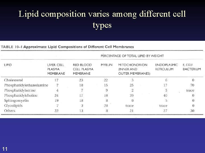 Lipid composition varies among different cell types 11 