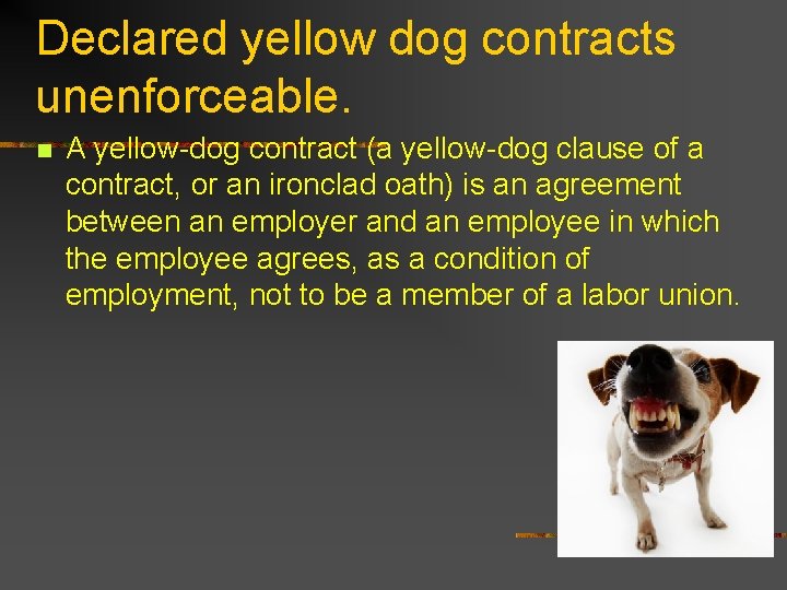 Declared yellow dog contracts unenforceable. n A yellow-dog contract (a yellow-dog clause of a