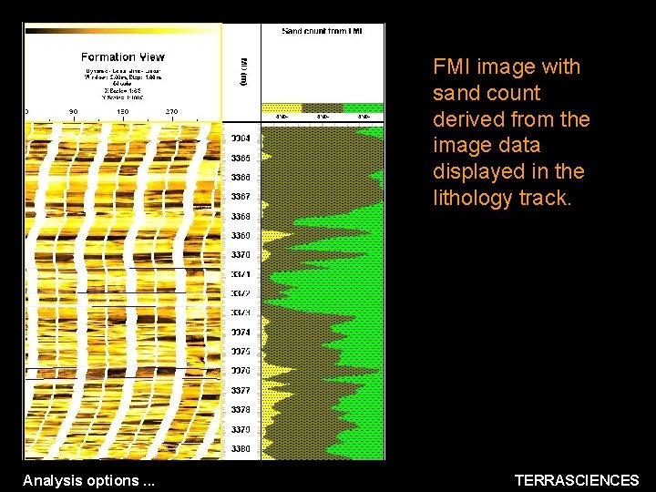 FMI image with sand count derived from the image data displayed in the lithology