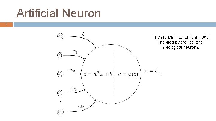 Artificial Neuron 7 The artificial neuron is a model inspired by the real one