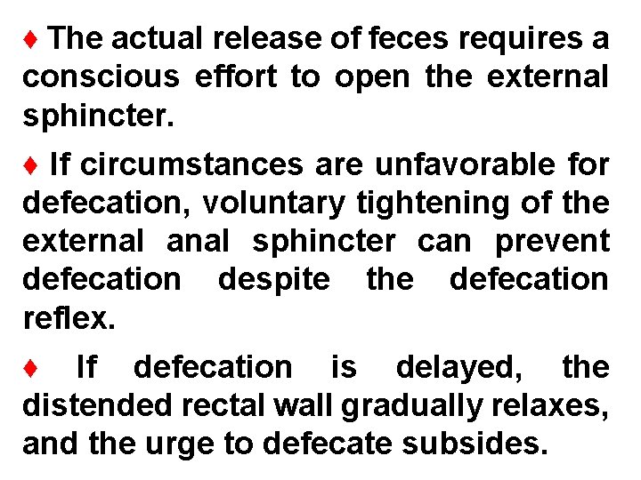 ♦ The actual release of feces requires a conscious effort to open the external