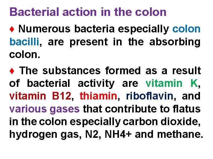 Bacterial action in the colon ♦ Numerous bacteria especially colon bacilli, are present in