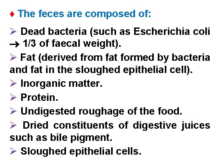 ♦ The feces are composed of: Ø Dead bacteria (such as Escherichia coli 1/3