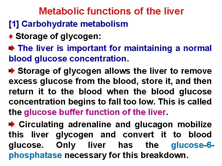 Metabolic functions of the liver [1] Carbohydrate metabolism ♦ Storage of glycogen: The liver