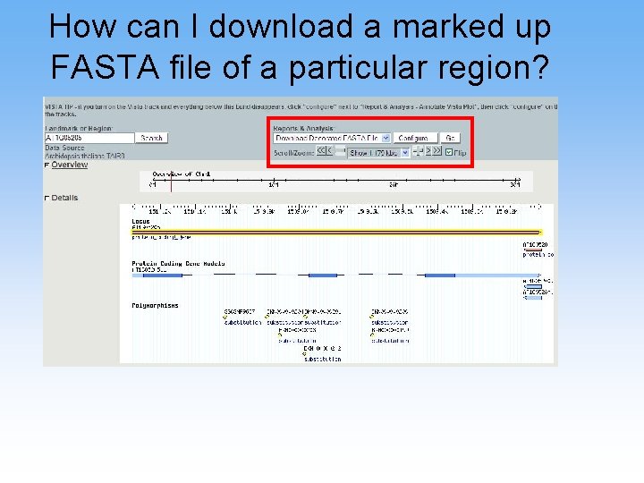How can I download a marked up FASTA file of a particular region? 