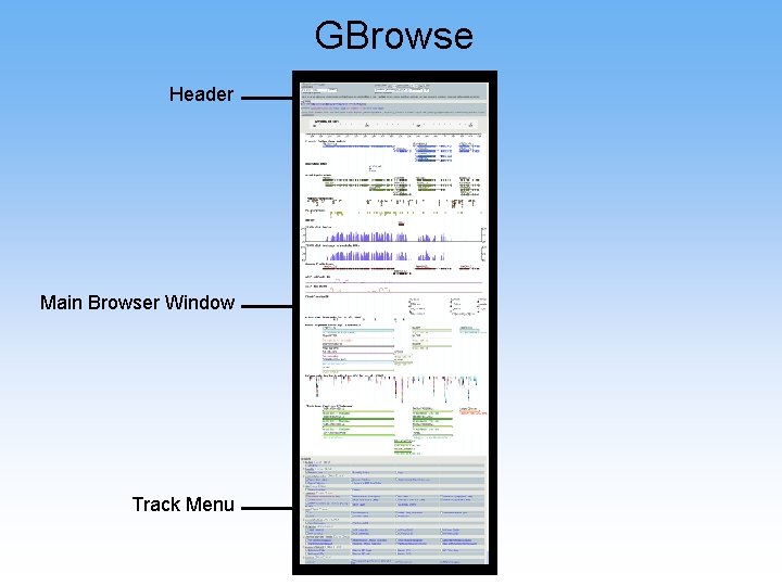 GBrowse Header Main Browser Window Track Menu 