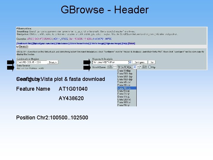 GBrowse - Header Search by: Vista plot & fasta download Configure Feature Name AT