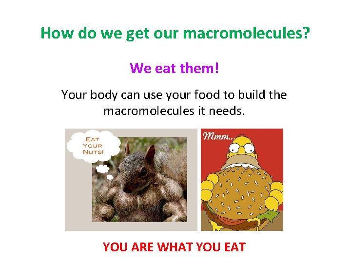 How do we get our macromolecules? We eat them! Your body can use your