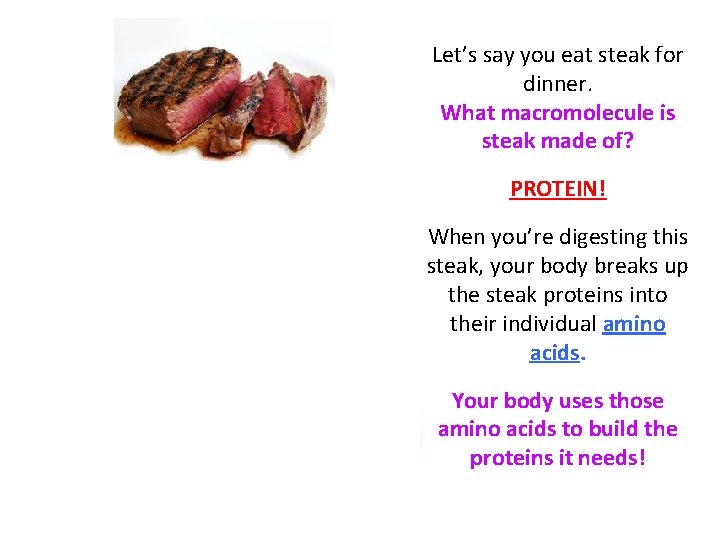 Let’s say you eat steak for dinner. What macromolecule is steak made of? PROTEIN!