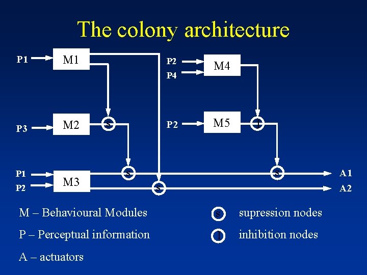The colony architecture P 1 M 1 P 2 P 4 P 3 P