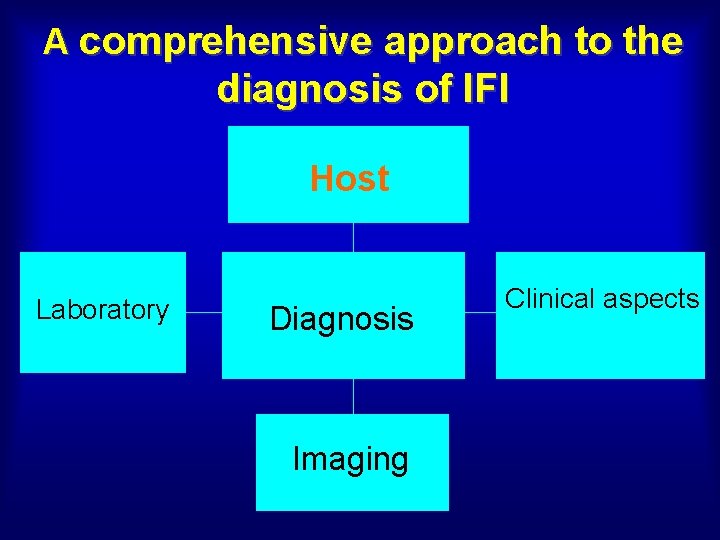 A comprehensive approach to the diagnosis of IFI Host Laboratory Diagnosis Imaging Clinical aspects