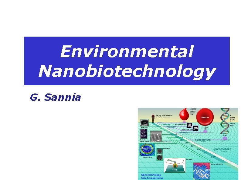 Environmental Nanobiotechnology G. Sannia 