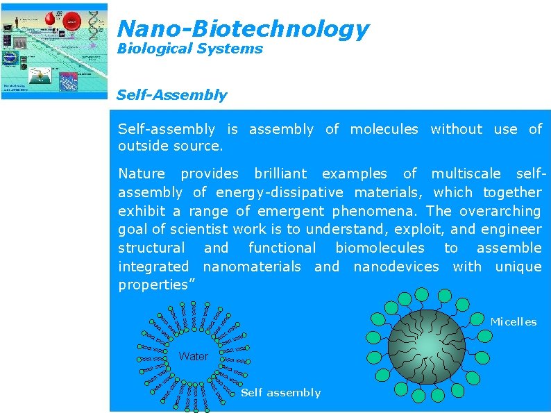 Nano-Biotechnology Biological Systems Self-Assembly Self-assembly is assembly of molecules without use of outside source.