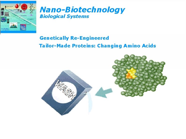 Nano-Biotechnology Biological Systems Genetically Re-Engineered Tailor-Made Proteins: Changing Amino Acids 