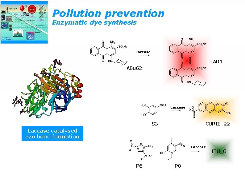 Pollution prevention Enzymatic dye synthesis Laccase LAR 1 ABu 62 Laccase S 3 CURIE_22