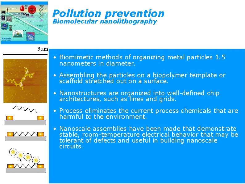 Pollution prevention Biomolecular nanolithography 5 mm • Biomimetic methods of organizing metal particles 1.
