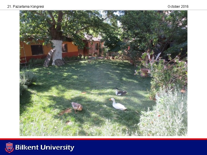 21. Pazarlama Kongresi October 2016 