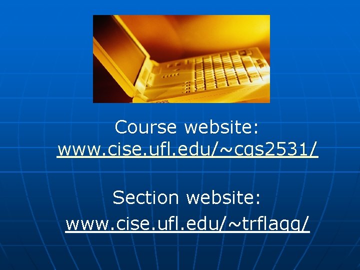 Course website: www. cise. ufl. edu/~cgs 2531/ Section website: www. cise. ufl. edu/~trflagg/ 