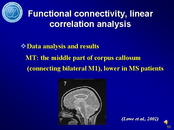 Functional connectivity, linear correlation analysis v Data analysis and results MT: the middle part