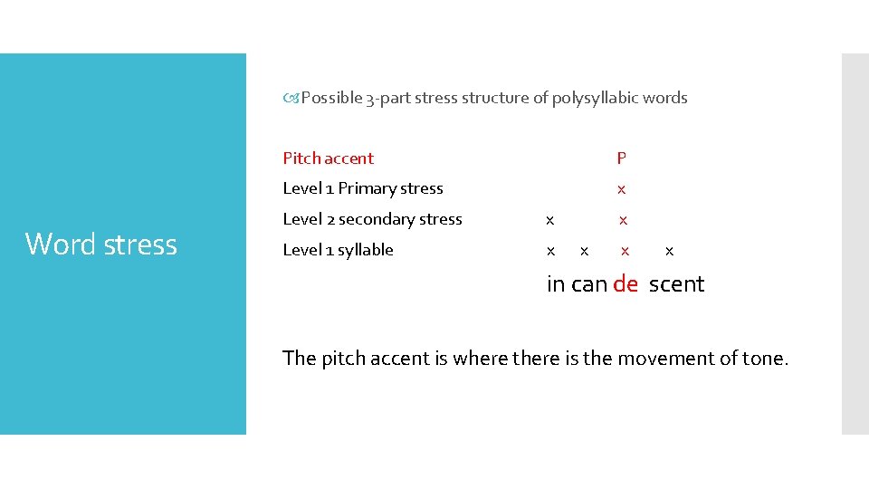  Possible 3 -part stress structure of polysyllabic words Word stress Pitch accent P