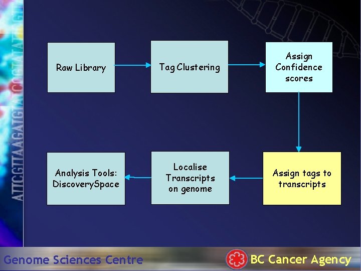 Raw Library Analysis Tools: Discovery. Space Genome Sciences Centre Tag Clustering Localise Transcripts on