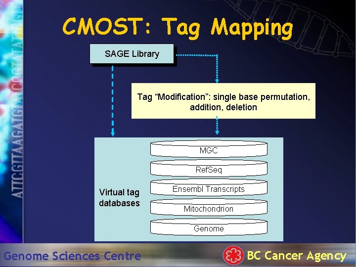 CMOST: Tag Mapping SAGE Library Tag “Modification”: single base permutation, addition, deletion MGC Ref.