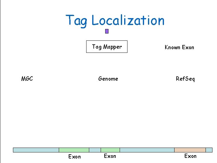 Tag Localization Tag Mapper MGC Exon Genome Sciences Centre Genome Exon Known Exon Ref.