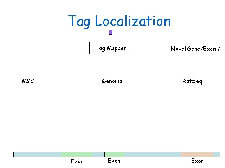 Tag Localization Tag Mapper MGC Exon Genome Sciences Centre Genome Exon Novel Gene/Exon ?