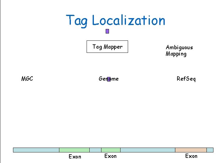 Tag Localization Tag Mapper MGC Exon Genome Sciences Centre Genome Exon Ambiguous Mapping Ref.