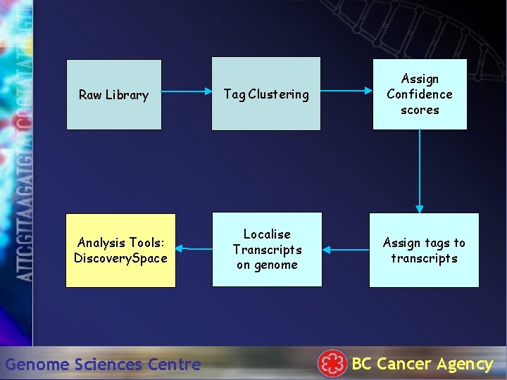 Raw Library Analysis Tools: Discovery. Space Genome Sciences Centre Tag Clustering Localise Transcripts on